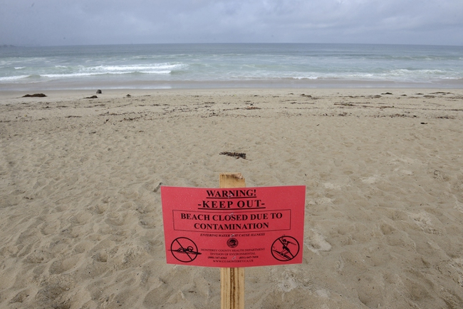 Beaches Closed California