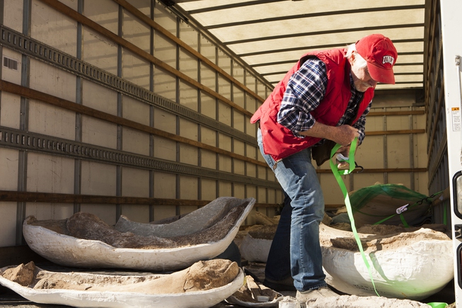 Steve Rowland, UNLV geology professor helps unload during the delivery ...