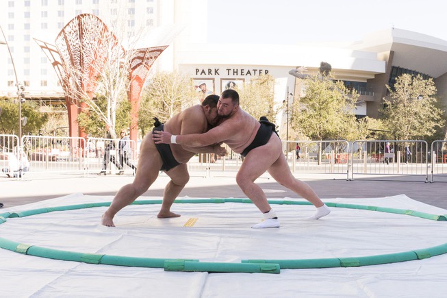 Professional Sumo wrestlers Dan Kalbfleisch, left, and Soslan Gagloev, right, ...