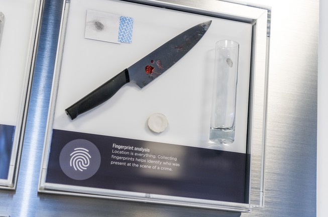 An exhibit introduces guests to fingerprint evidence in the Crime ...