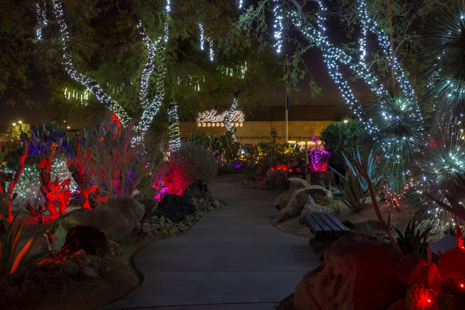 Lights of Love at the Ethel M Cactus Garden, Thursday ...