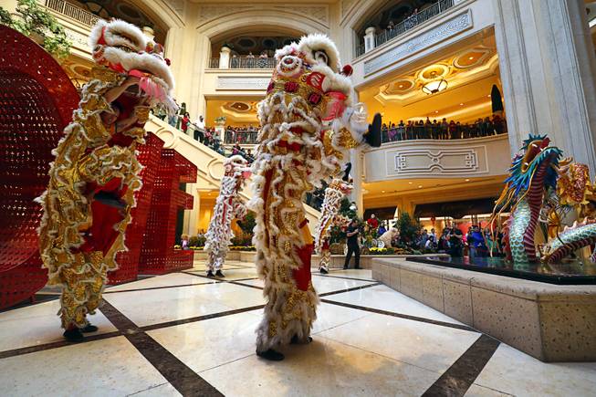 Lion dancers perform during Year of the Dog celebrations in the Atrium at The Palazzo Friday, Feb. 16, 2018.