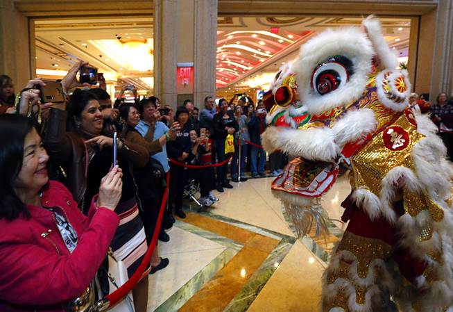 A woman takes a photo of a lion dancer during Year of the Dog celebrations at the Venetian and Palazzo Friday, Feb. 16, 2018.