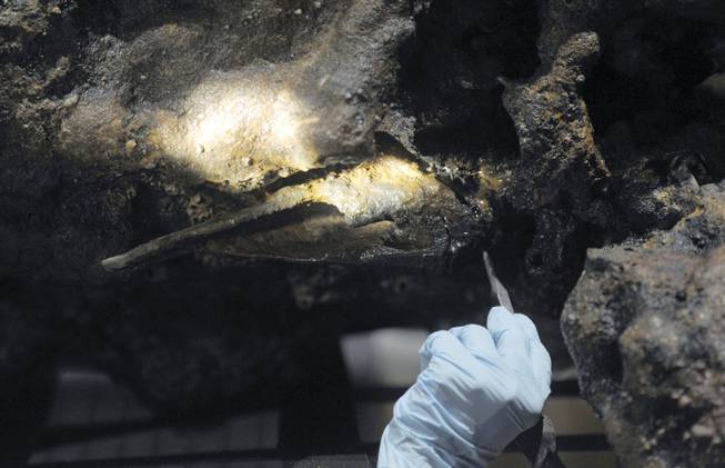 In this Aug. 14, 2017 photo, Marie Kesten Zahn, an archaeologist and education coordinator at the Whydah Pirate Museum in West Yarmouth, Mass., probes the concretion surrounding a leg bone that was salvaged from the Whydah shipwreck off the coast of Wellfleet on Cape Cod. Researchers are working to determine if the remains belong to Samuel "Black Sam" Bellamy, the captain of the ship.