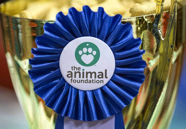 The Best in Show trophy, filled with dog biscuits, is displayed during the Animal Foundation's 15th Annual Best in Show fundraiser at the Thomas & Mack Center Sunday, April 22, 2018. This year's winner was Zamboni, an 11-month-old Belgian Tervuren Shepherd.