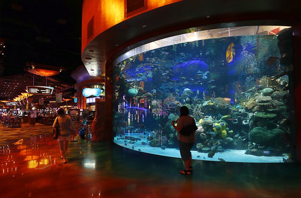 Guests walk by the 117,000-gallon reef aquarium at the Silverton hotel-casino Thursday, May 17, 2018.