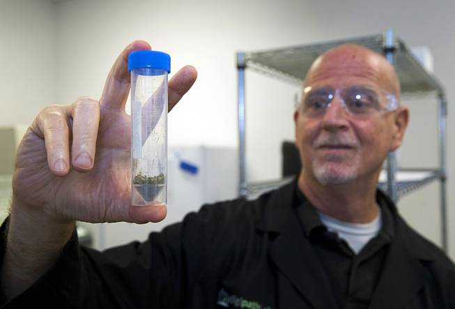 Todd Denkin, COO, president and founder of DigiPath Labs, holds a vial of homogenized marijuana flower at the a cannabis testing facility Wednesday, June 6, 2018.