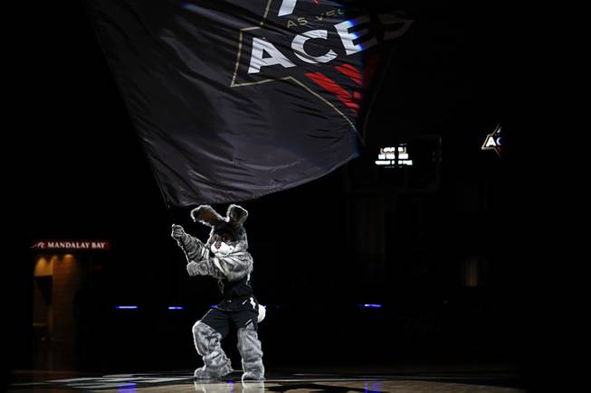 The Las Vegas Aces mascot Buckets waves a flag before the start of a game against the Chicago Sky at Mandalay Bay Events Center Thursday, July 5, 2018.