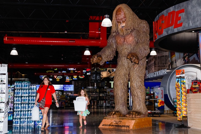 【junku】ビルローレンス Challenger1 1980年代 Bill Lawrence CHALLENGER-I Black'62 | Jammy26