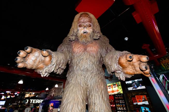 The world's tallest Sasquatch at 13 feet is seen inside of Terrible's Road House, the world's largest Chevron gas station, in Jean, NV, Friday, July 6, 2018.