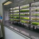 Oasis Biotech: Indoor Vertical Farming