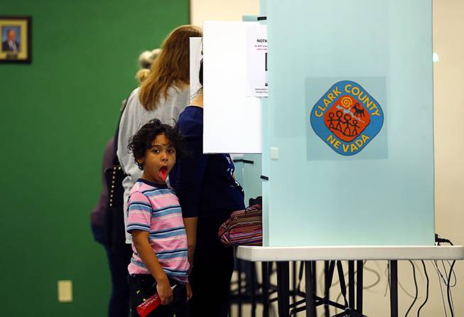 Midterm Voting At McDoniel Elementary