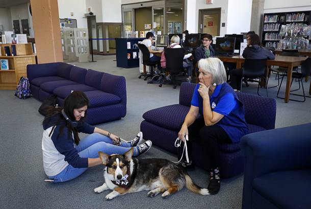 Margarita Gallegos pets Dylan, a Cardigan Welsh Corgi during a Love Dog event in the College of Southern Nevada library in North Las Vegas Thursday, Nov. 8, 2018. Dylan's owner Nola Collins is at right. The annual therapy dog event is designed to help students with the stress related to upcoming final exams.