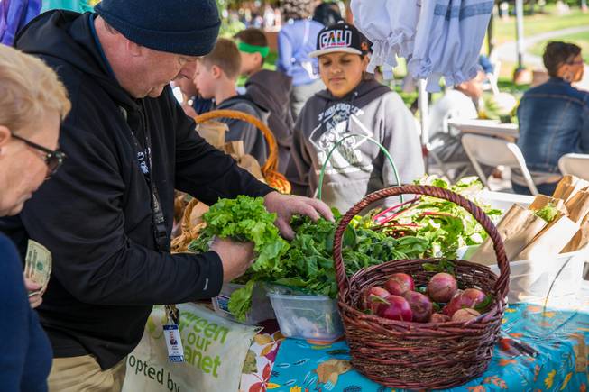 John O'Brien, a first grade teacher at Dooley Elementary grabs some fresh greens during the Student Farmers Market at the Clark County Government Center, where students are selling fruits and vegitables that are grown in school gardens, Thursday Nov. 8, 2018.