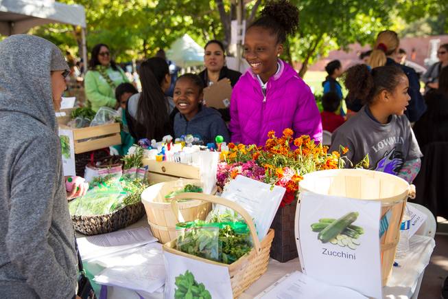 Students at Lowman Elementary School participate in the Biannual Student Farmers Market at the Clark County Government Center, selling fruits and vegitables that are grown in school gardens, Thursday Nov. 8, 2018.