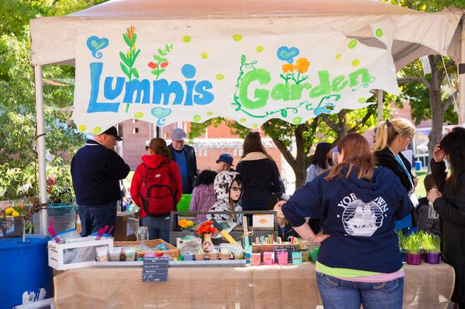 Students at Lummis Elementary School participate in the Student Farmers Market at the Clark County Government Center, selling fruits and vegitables that are grown in school gardens, Thursday Nov. 8, 2018.