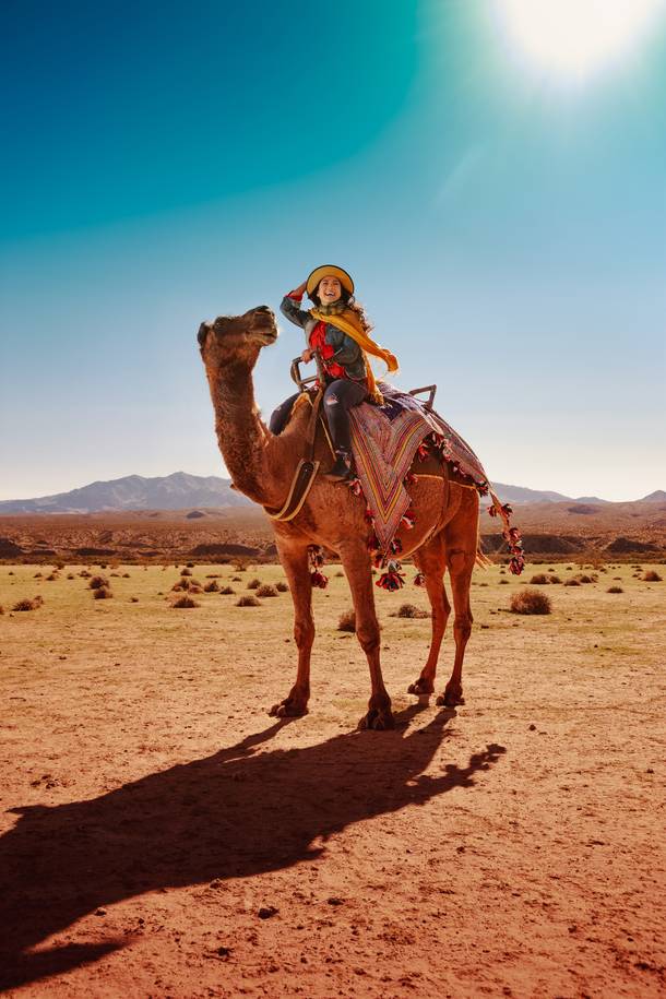 camel safari las vegas photos