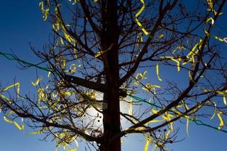 Ribbons were tied to a tree in honor of Michael W. Lucas, whose murder remains unsolved, during a Justice for Families ceremony at Liberty Baptist Church, Thursday, Dec. 13, 2018.