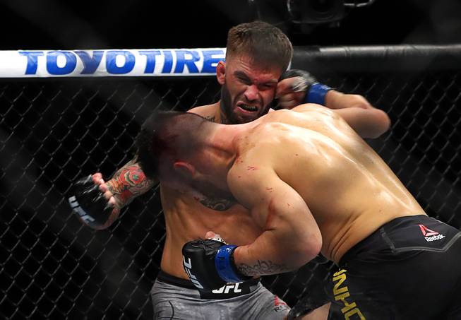 Bantamweight fighter Pedro Munhoz lands a punch that sends Cody Garbrandt to the canvas during UFC 235 at T-Mobile Arena Saturday, March 2, 2019. Munoz won with a first-round knockout. 