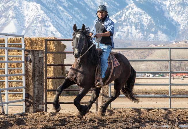 Nevada Prison's Wild Horse Training Program