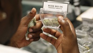 The Nevada Cannabis Compliance Board is launching a public database of nearly 50,000 cannabis products sold at licensed dispensaries and consumption lounges across the state ...