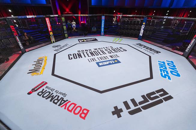 A view of the octagon at the UFC Apex facility Monday, June 17, 2019.
