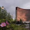 Beach Plum flowers bloom along the banks of the Mystic River in front of the Encore Boston Harbor casino in Everett, Mass., Friday, June 21, 2019.