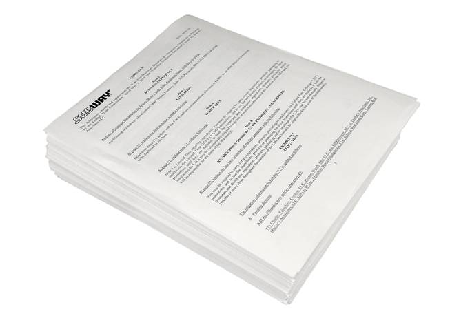 A disclosure document given to prospective Subway franchisees, more than 600 pages long, June 20, 2019.