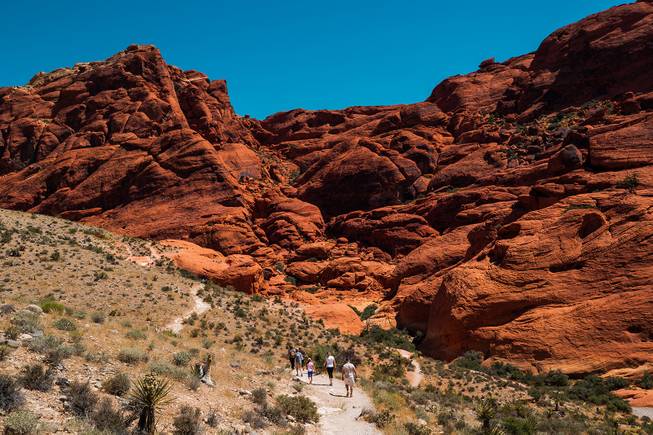 Red Rock Visitors