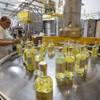 A look at the NLV Tequila Bottling LLC, Mon. Aug. 12, 2019.