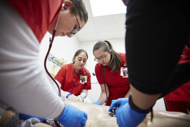 UNLV School of Nursing Named a National Center of Excellence
