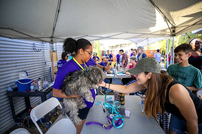 New owner Veronica Nava, right, hands off  her new dog to volunteer Gladys Godoy during "Clear the Shelters Day" at the Animal Foundation's GreenGale Campus, 655 Mojave Rd., Saturday, Aug. 17, 2019. Owners needed to come back for animals that were not spayed or neutered.