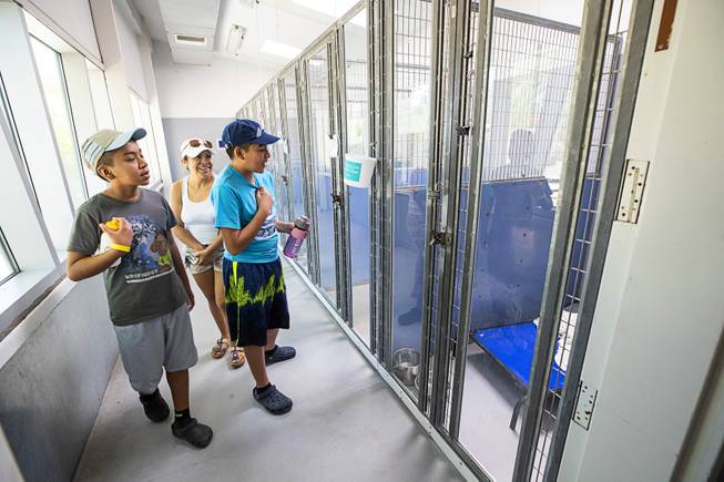Lorena Luna and her sons Brandon, left, 11, and Jason, 13, look for a new dog during "Clear the Shelters Day" at the Animal Foundation's GreenGale Campus, 655 Mojave Rd., Saturday, Aug. 17, 2019. Adoption fees were waived for the annual one-day event, part of a national effort to connect shelter pets with new homes.
