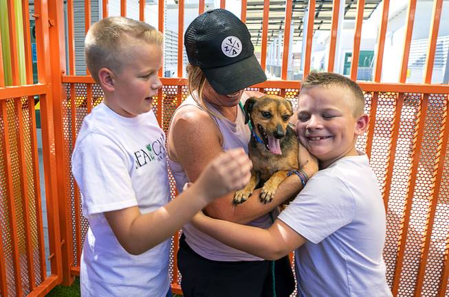 Barb Smith and her sons Nicholas, left, 12, and Jaxon, 8, prepare to take home Buddy during "Clear the Shelters Day" at the Animal Foundation's GreenGale Campus, 655 Mojave Rd., Saturday, Aug. 17, 2019. Adoption fees were waived for the annual one-day event, part of a national effort to connect shelter pets with new homes.