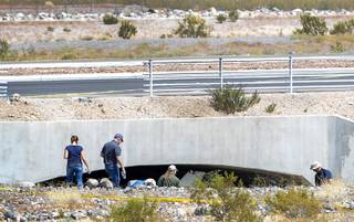 Officials investigate at the scene of a fatal small plane crash near the Henderson Executive Airport Sunday Sept. 8, 2019. The plane crashed on Saturday night killing two and injuring three others.