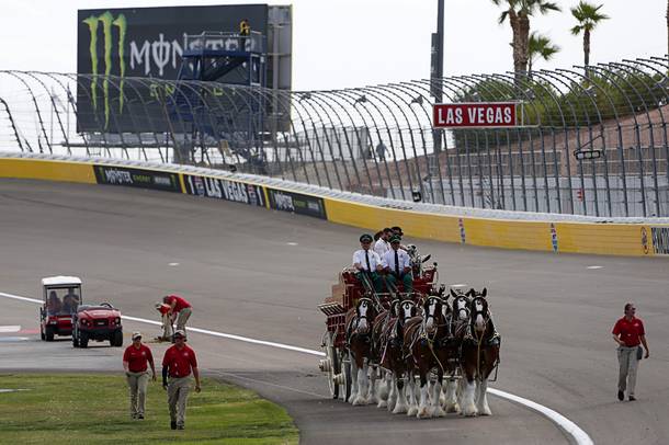 The Budweiser Clydesdales take part in pre-race entertainment during the South Point 400 Monster Energy NASCAR Cup Series race at the Las Vegas Motor Speedway Sunday, Sept. 15, 2019.