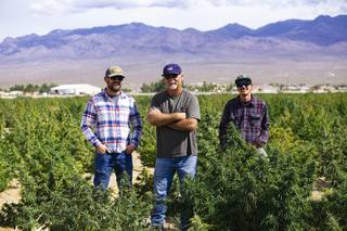 From left, Assistant Foreman Jordan Williams, Owner Dan Harris and Plant Specialist Brad Thurmond pose for a photo at Harris Farms in Pahrump, Nevada, Thursday, Sept. 26, 2019.