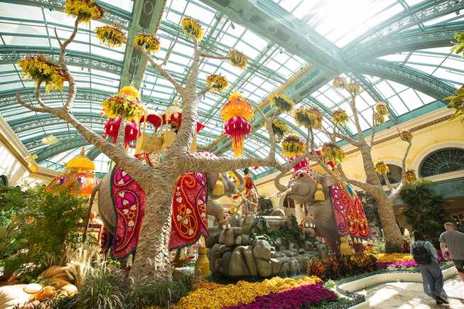 The Autumn display at the Bellagio Conservatory and Botanical Garden, ...