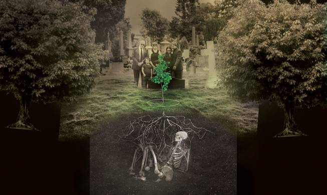 Green burials illustration