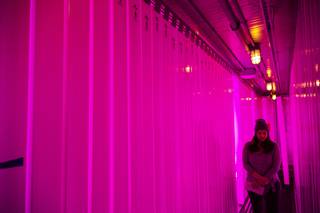 An attendee walks through the Freight Farm during the opening ceremony for the Caridad Gardens at Bunkhouse Saloon, downtown, Monday, Nov. 11, 2019. The freight farm is a hydroponics system that uses LED lights to grow organic sprouts such as mint, basil and pablano peppers to be sold to local businesses.