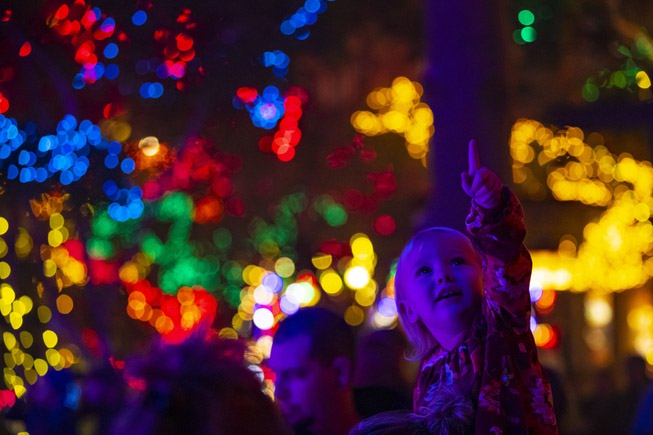 A child watches a tree lighting ceremony for a Winter ...
