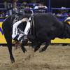 Bull rider Sage Kimzey finds himself upside down on his way to an 88-point ride and winning the championship during the 10th and final night of the Wrangler National Finals Rodeo Saturday, December 14, 2019, at the Thomas & Mack Center in Las Vegas. (Sam Morris/Las Vegas News Bureau)