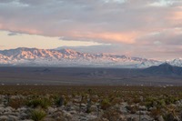 Two Nevada families — one whose name is on the town, another that built an empire serving the state’s travelers — have joined forces to pull Primm back from the brink.

