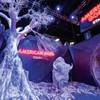 Premier Displays and Exhibits creates trade show spaces for companies to share their brand. 