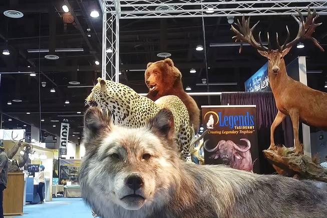 Trophy Hunting Convention Reno
