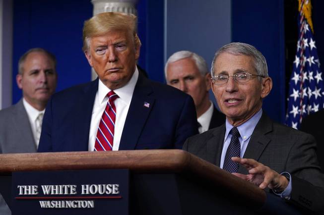 Fauci Fauci