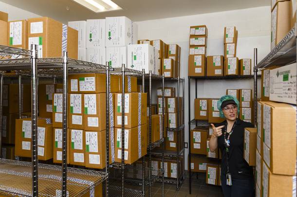 Business Development Manager Jillian Nelson shows a room of finished products ready for distribution during a tour of Evergreen Organix edibles production facility, Wednesday, Sept. 26, 2018.