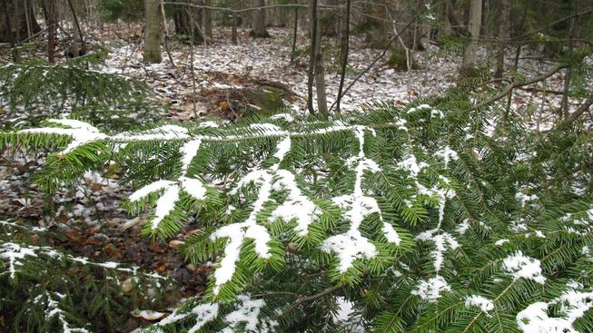 Vermont May Snow Vermont May Snow