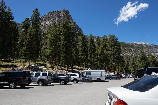 Mount Charleston Trails Re-open During Phase 1