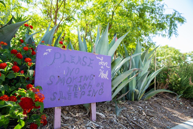 A look at the Community Healing Garden in Downtown Las ...